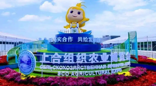 2026上海合作组织现代农业发展圆桌会议召开